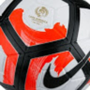 Meet your Posher, Rocco